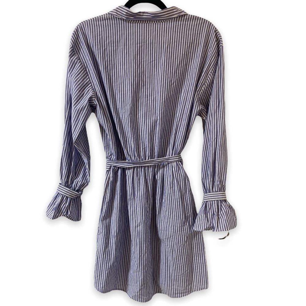 Express Dress - Picture 2 of 6